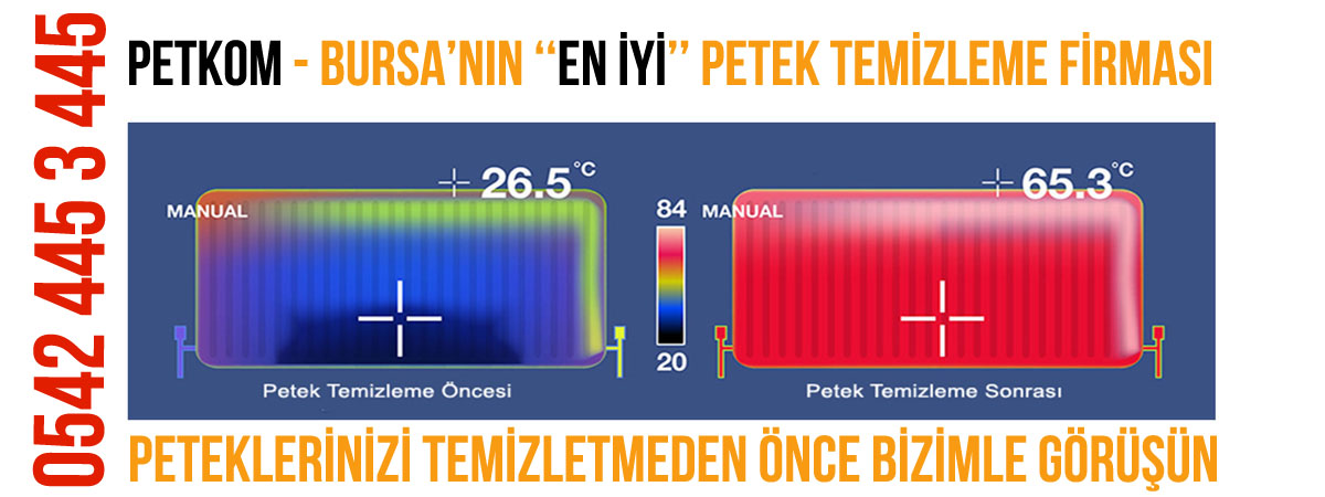 Bursa Petek Temizleme – Petek Temizliği – 0542 445 3 445